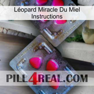 Léopard Miracle Du Miel Instructions 15